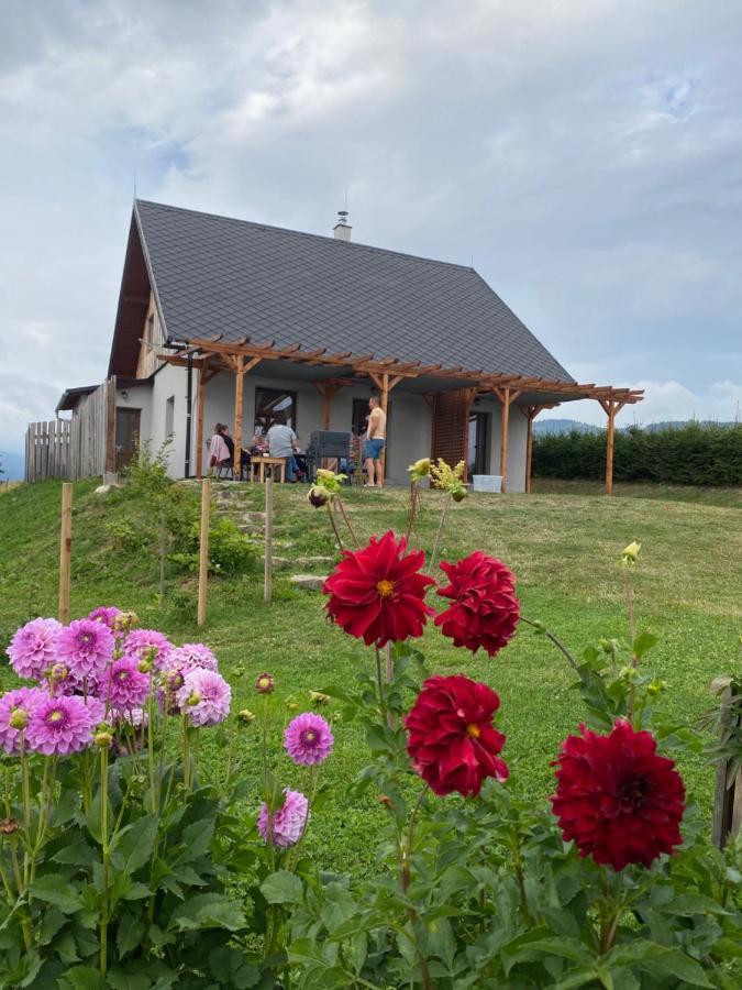 Apartmany U Mateje Dolni Morava Luaran gambar