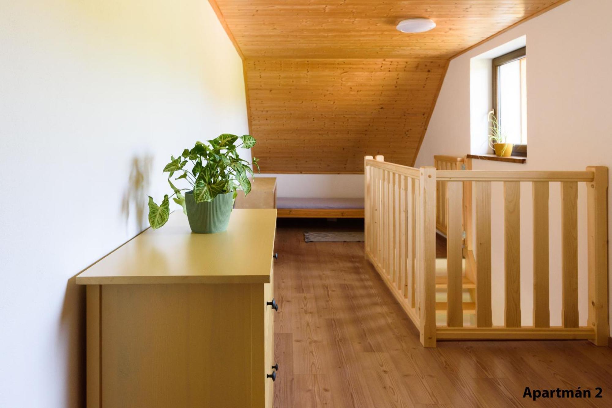 Apartmany U Mateje Dolni Morava Luaran gambar